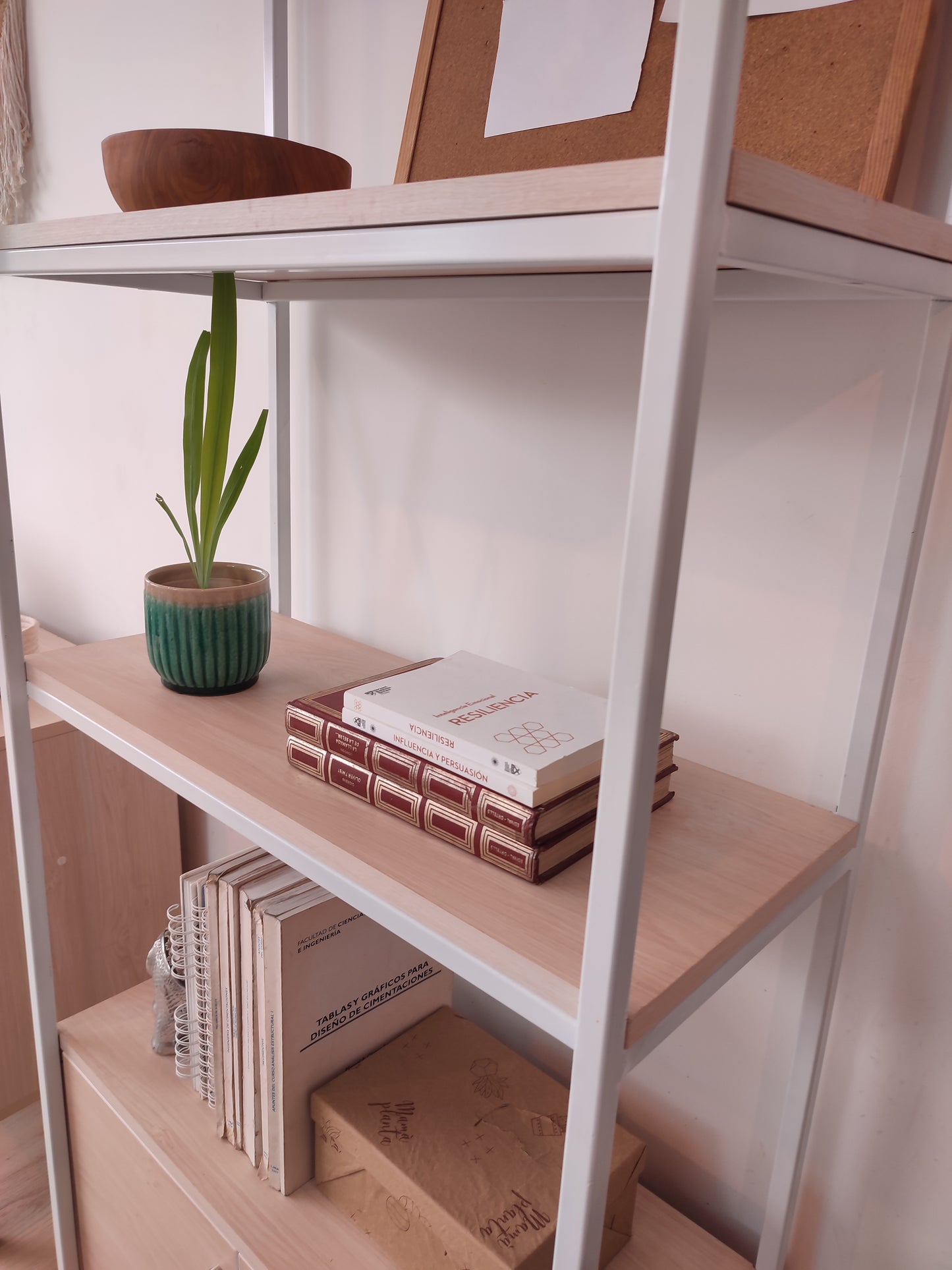 Estante/Librero Ficus