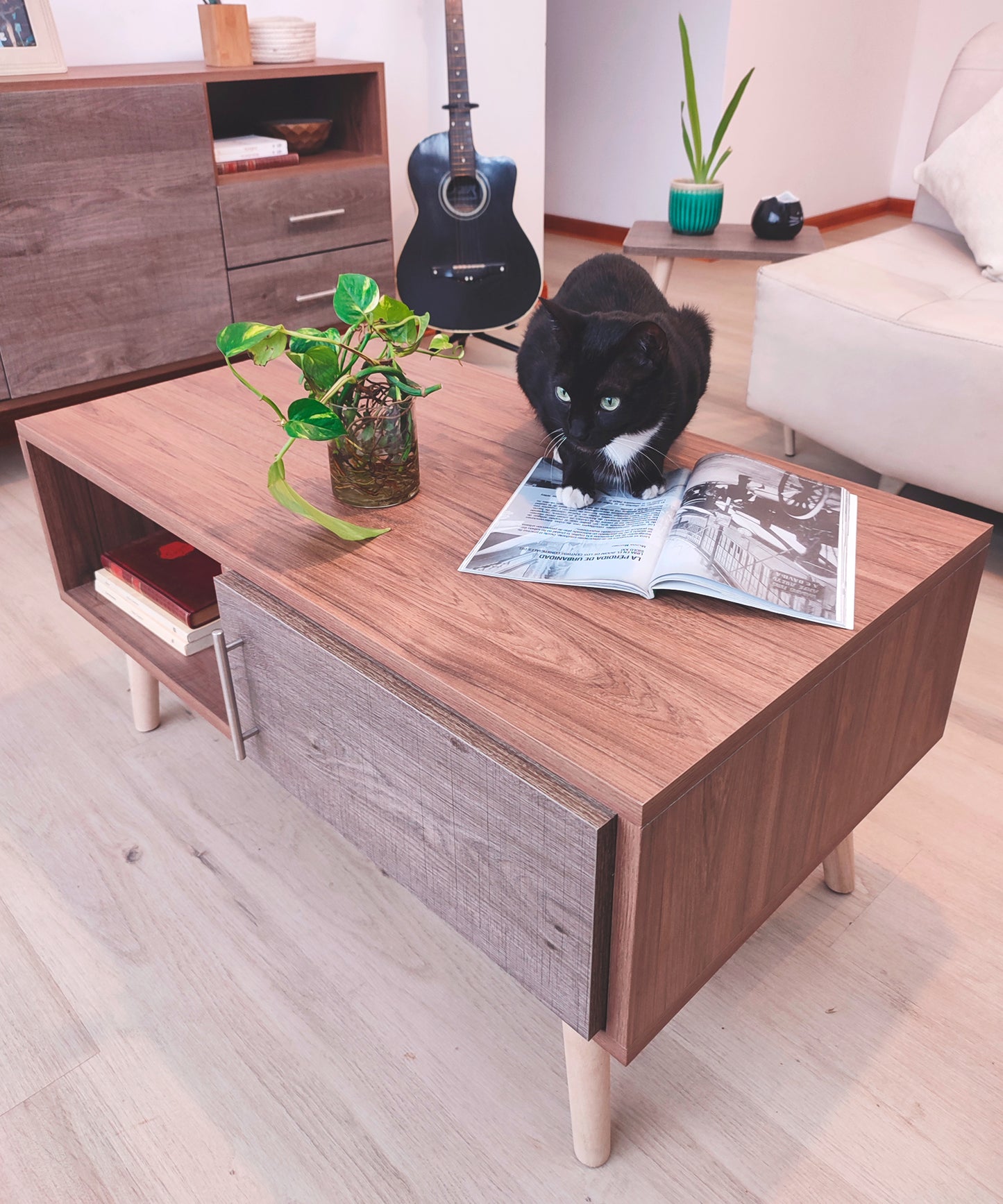 Mesa de centro Bromelias